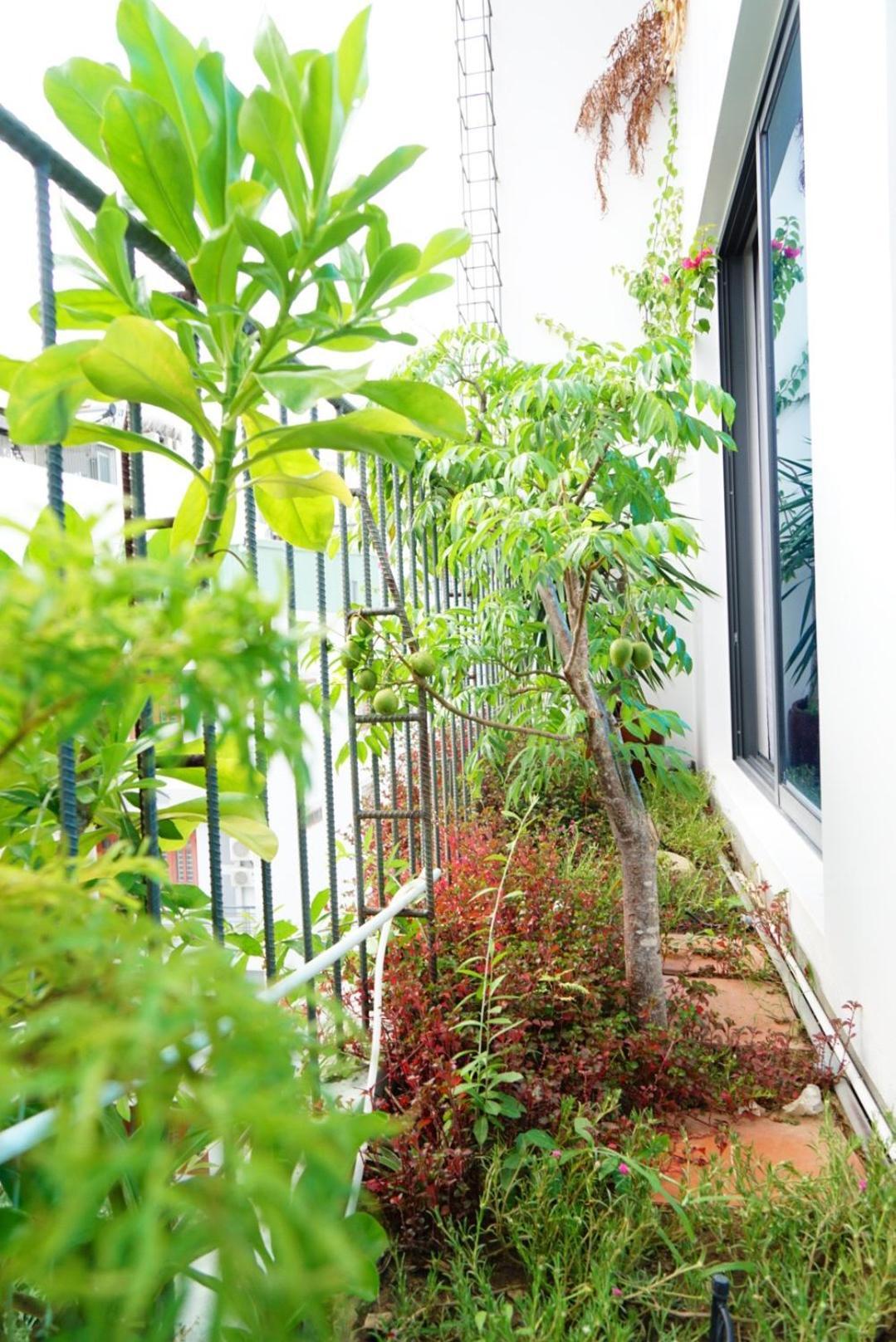 Laholm Hotel - Apartment Nha Trang Kültér fotó